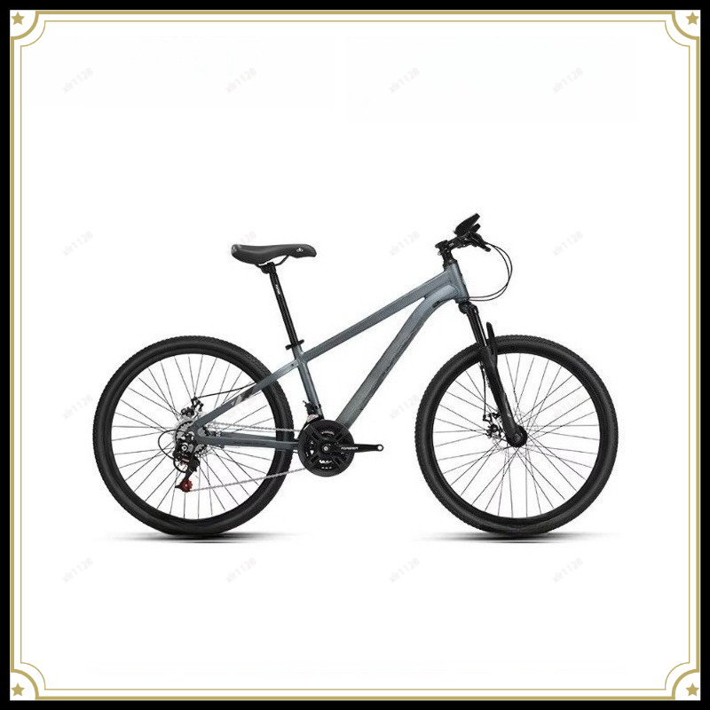 Mountainbike mit variabler Ges – Commuting With Bike Bewertung und Preis