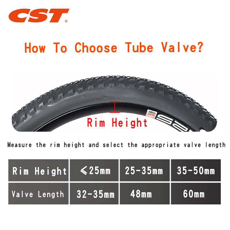 2PCS CST Fahrrad Schläuche 20  – Inner Tube 700C Bewertung und Preis